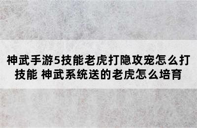 神武手游5技能老虎打隐攻宠怎么打技能 神武系统送的老虎怎么培育